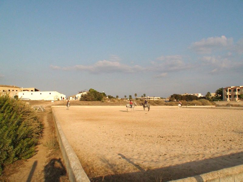 Thb Sur Mallorca Hotel 5*